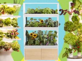 Best Indoor Garden Systems: I've Been Testing All Year (2026)